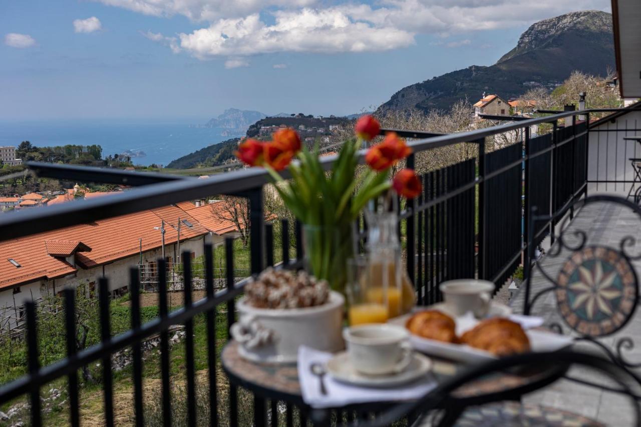 Agriturismo Punta San Lazzaro 아제롤라 외부 사진